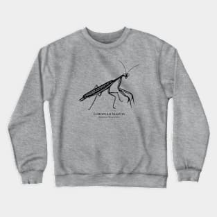 Praying Mantis with Common and Scientific Names - insect design Crewneck Sweatshirt